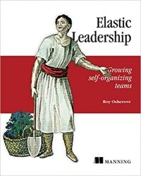 Рой Ошероув - Elastic Leadership. Growing self-organizing teams