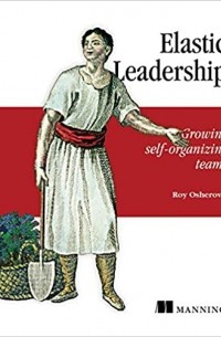 Рой Ошероув - Elastic Leadership. Growing self-organizing teams