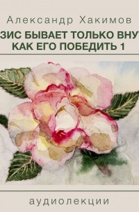 Чайтанья Чандра Чаран Дас  - Кризис бывает только внутри. Как его победить 1