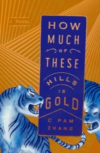 C Pam Zhang - How Much of These Hills Is Gold