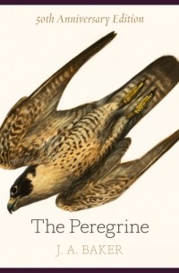 J.A. Baker - The Peregrine