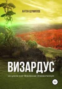 Антон Шумилов - Визардус. Книга 1