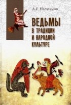 Алексей Наговицын - Ведьмы в традиции и народной культуре