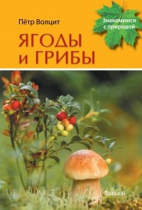Петр Волцит - Ягоды и грибы