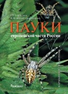  - Пауки европейской части России. Карманный справочник