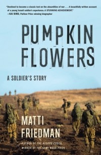 Матти Фридман - Pumpkinflowers: A Soldier's Story of a Forgotten War