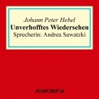 Иоганн Петер Гебель - Unverhofftes Wiedersehen