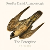 Джон Алек Бейкер - Peregrine