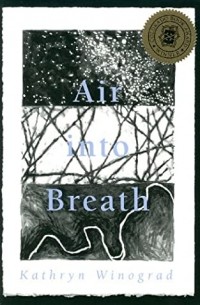 Кэтрин Виноград - Air Into Breath
