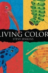 Стив Дженкинс - Living Color
