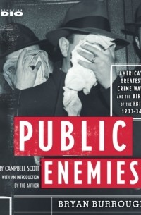 Public Enemies