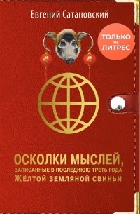 Евгений Сатановский - Осколки мыслей, записанные в последнюю треть года Жёлтой Земляной Свиньи