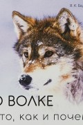 О волке. Что, как и почему