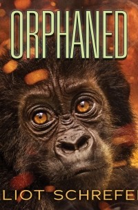 Элиот Шрефер - Orphaned - Ape Quartet 4 