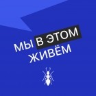 Творческий коллектив Mojomedia - Выпуск № 12 s05 — Подкастуже