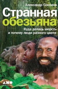 Александр Соколов - Странная обезьяна. Куда делась шерсть и почему люди разного цвета