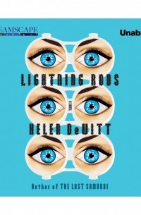 Helen DeWitt - Lightning Rods