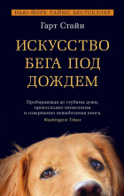 Гарт Стайн - Искусство бега под дождем