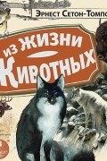 Эрнест Сетон-Томпсон - Из жизни животных