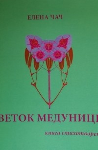 Цветок медуницы