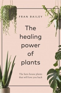 The healing power of plants