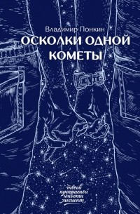 Владимир Понкин - Осколки одной кометы