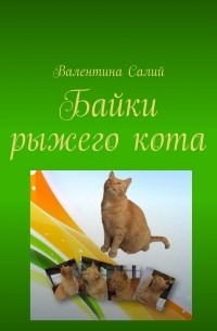 Валентина Михайловна Салий - Байки рыжего кота. Стихи