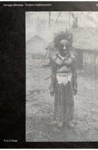 Теория перформанса