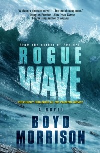 Бойд Моррисон - Rogue Wave 