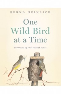 One Wild Bird at a Time - Portraits of Individual Lives