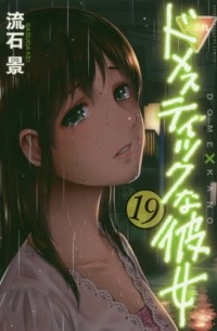 Domesutikku na Kanojo, Vol. 19