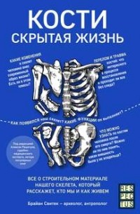 Брайан Свитек - Кости: скрытая жизнь. Все о строительном материале нашего скелета, который расскажет, кто мы и как живем