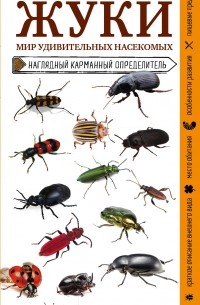 Михаил Куценко - Жуки. Мир удивительных насекомых