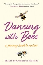  - Dancing with Bees
