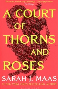 Sarah J. Maas - A Court of Thorn and Roses