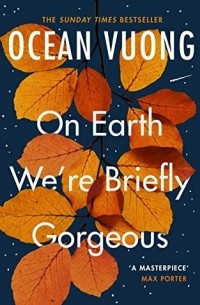 On Earth We're Briefly Gorgeous