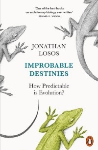 Джонатан Лосос - Improbable Destinies