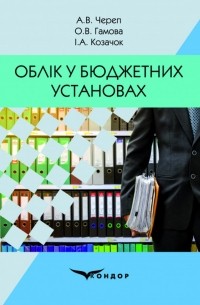 Облік у бюджетних установах