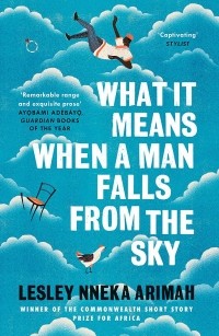 Лесли Ннека Арима - What It Means When A Man Falls From The Sky