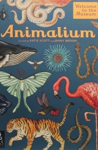 Animalium