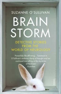 Сюзанна О’Салливан - Brainstorm: Detective Stories From the World of Neurology
