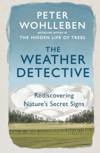 The Weather Detective: Rediscovering Nature’s Secret Signs