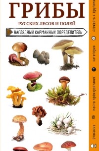 Михаил Куценко - Грибы русских лесов и полей
