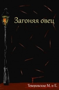 Загоняя овец