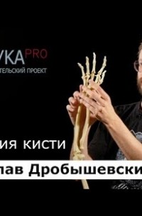 Эволюция кисти