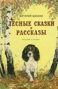 Лесные сказки и рассказы