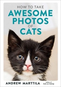 Andrew Marttila - How to Take Awesome Photos of Cats