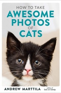 Andrew Marttila - How to Take Awesome Photos of Cats