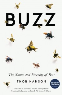 Buzz: The Nature and Necessity of Bees