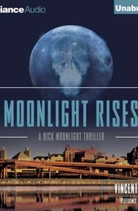 Винсент Зандри - Moonlight Rises